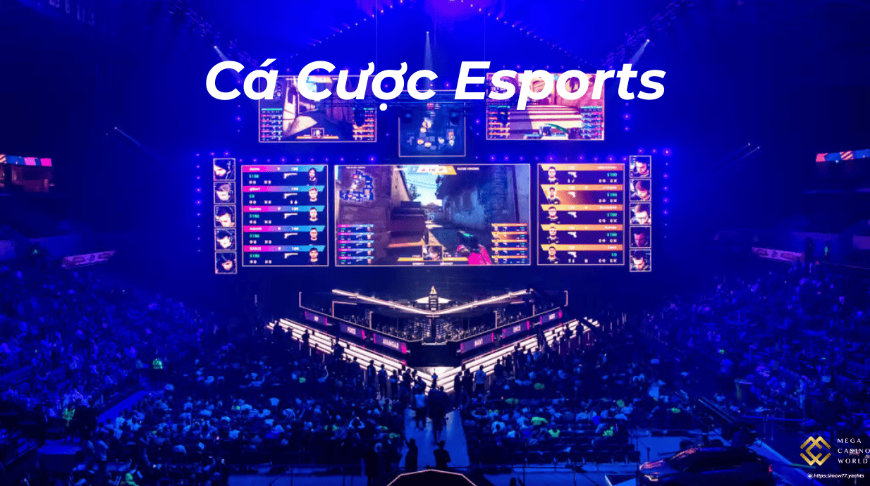 Cá Cược Esports – Hướng Dẫn Chi Tiết Cho Người Mới Bắt Đầu