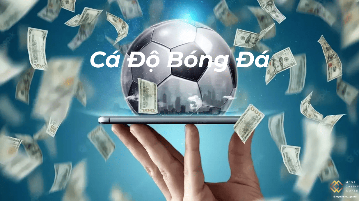 Cá Độ Bóng Đá – Hướng Dẫn Chi Tiết Cho Những Người Mới