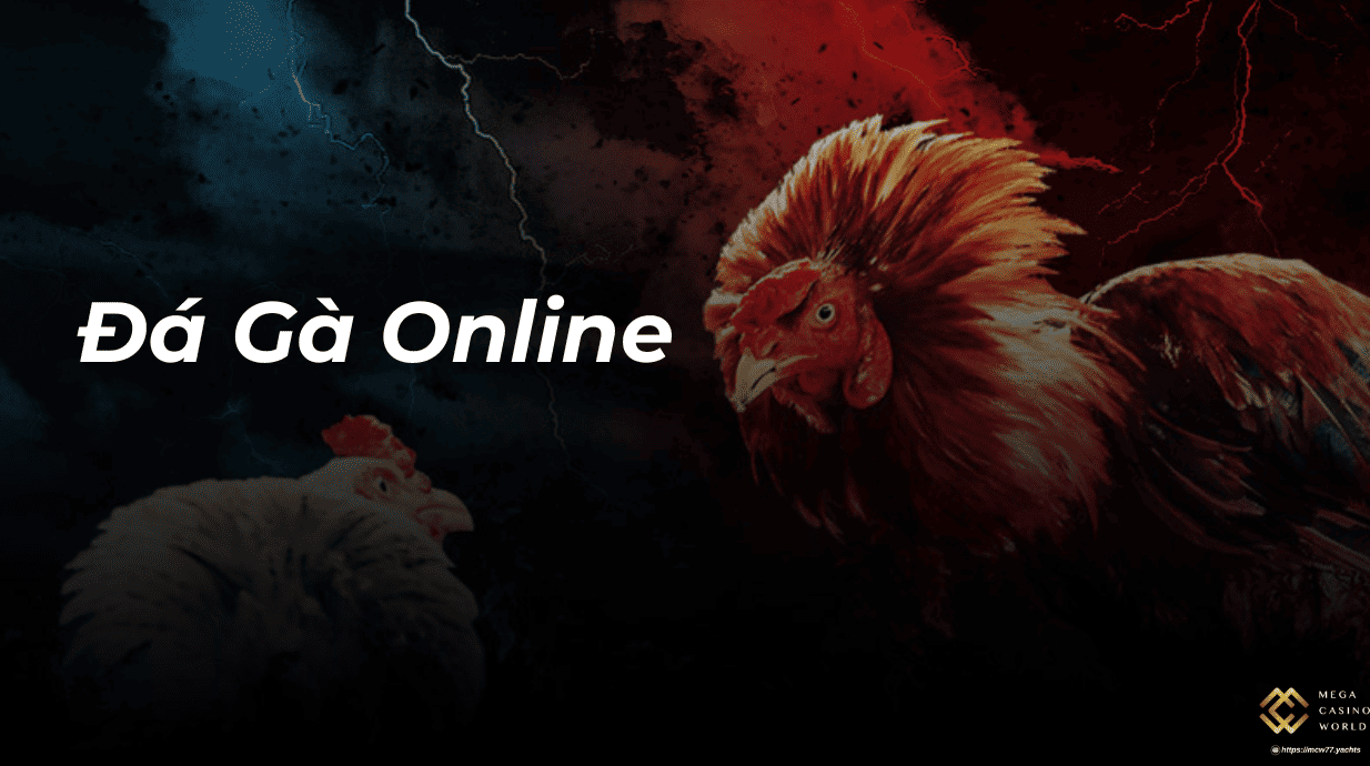 Đá Gà Online – Kênh Cá Cược Thời Đại Số Cho Người Đam Mê