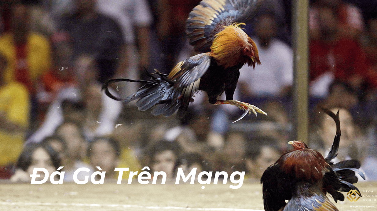 Đá Gà Trên Mạng – Giải Trí Đỉnh Cao, Kiếm Tiền Ngay Tại Nhà